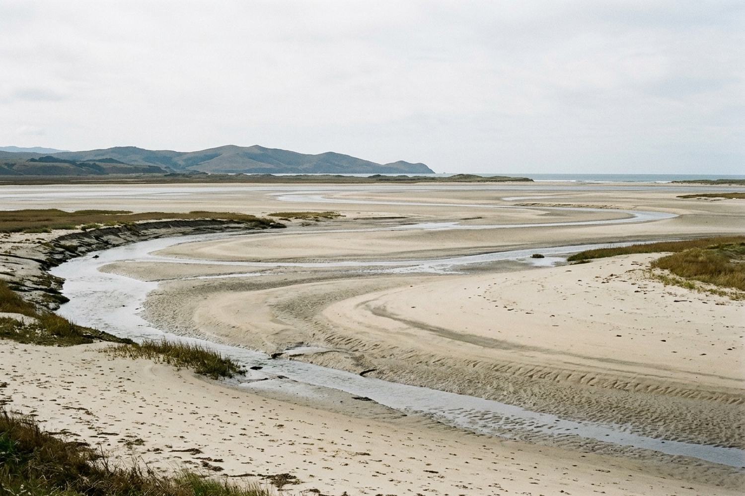 A wide estuary at low tide, sand flats cut by shining channels running seaward.